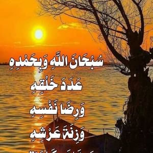 Meet your Posher, Halima